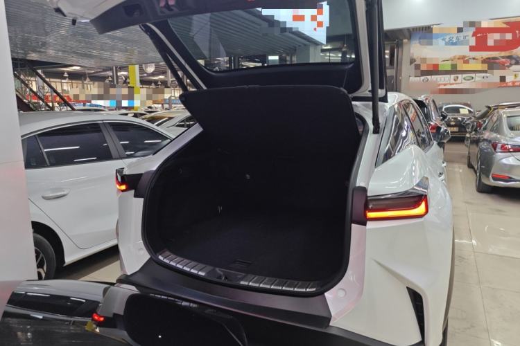 Used Lexus RZ 2023 450e All-Wheel Drive Luxury Edition
