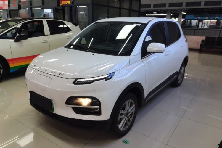 Used Dayun Yuehu 2022 300 Standard Edition