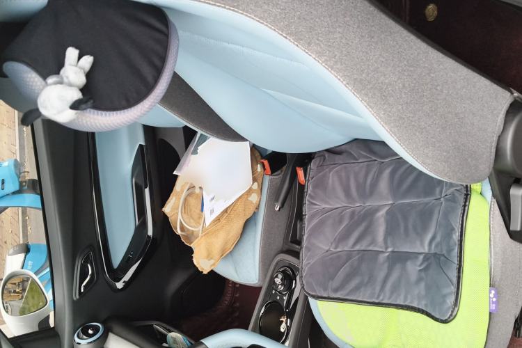 Used Chery QQ Little Ant 2022 Restyled Version Sweet Pink Edition Low-Sugar Version Lithium Iron Phosphate Battery 30.7 kWh 30 kW 301 km Left Front Seat