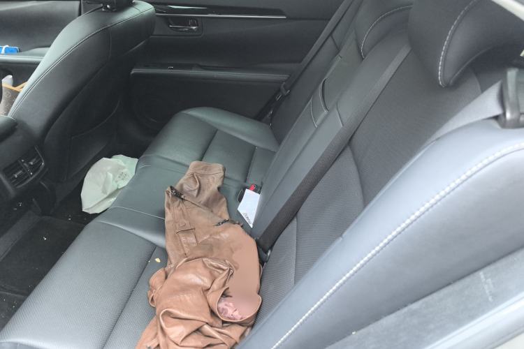 Used Lexus ES 2014 300h Elite Edition Left Rear Seat