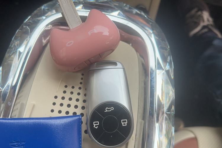 Used ORA Ballet Cat 2023 401 km Luxury Version
