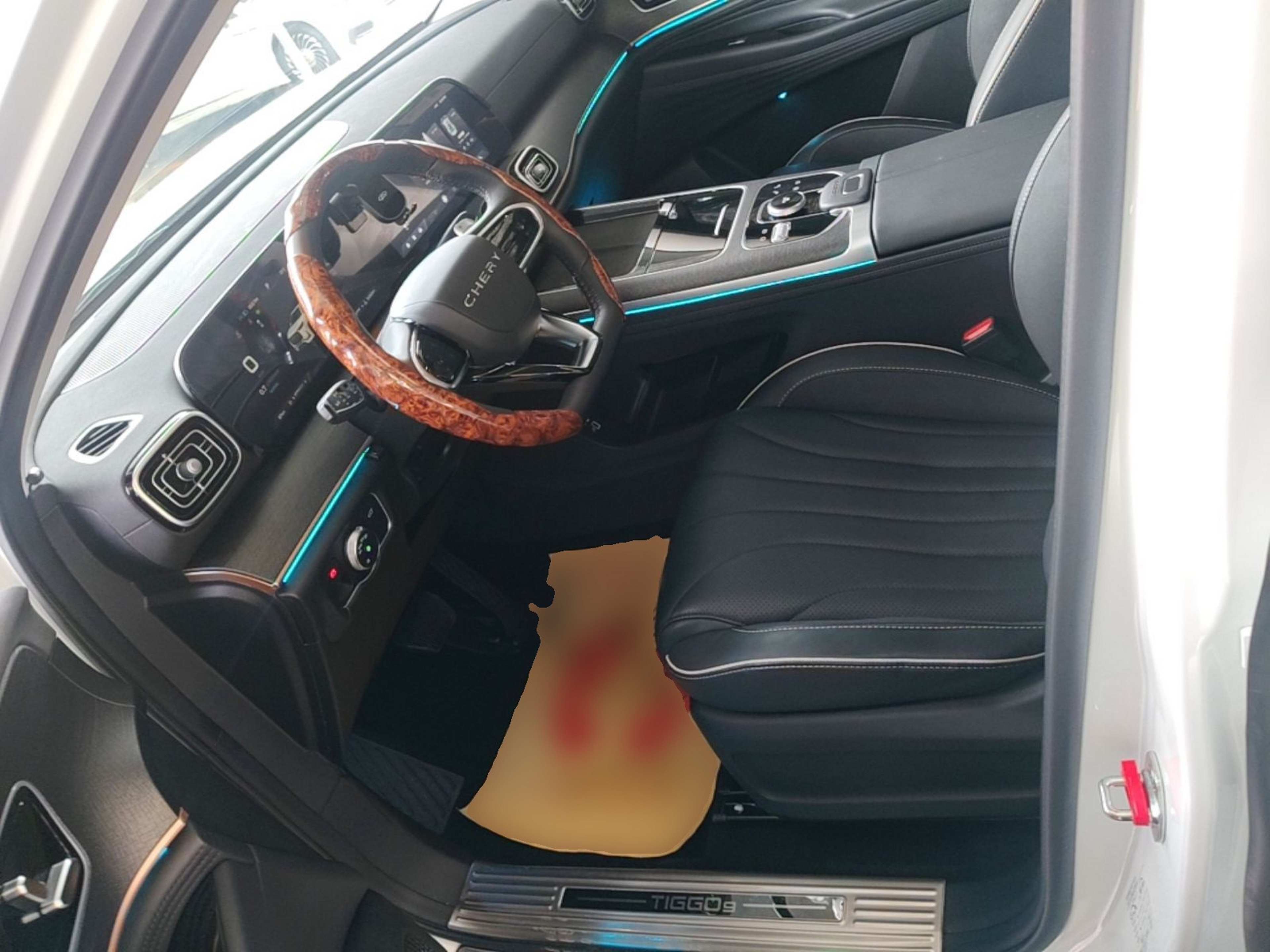 Interior delantero