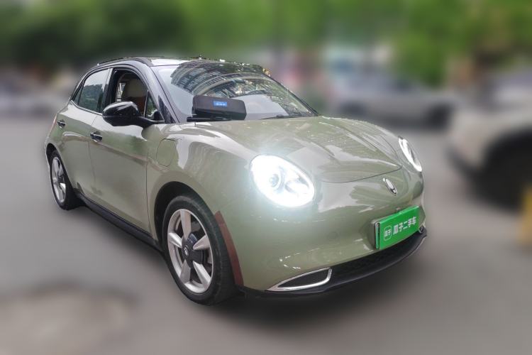 Used ORA Good Cat 2021 400km Standard Range Athena Edition Lithium-Ion Battery
