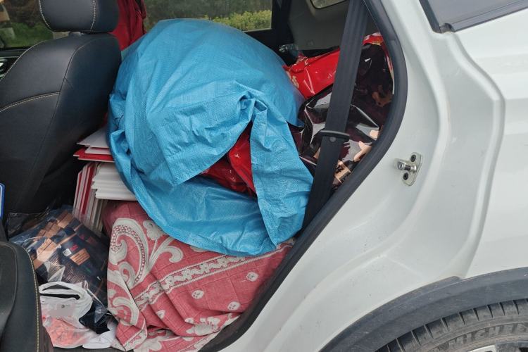 Used Roewe RX5 2022 330TGI Automatic National Style Edition Left Rear Seat