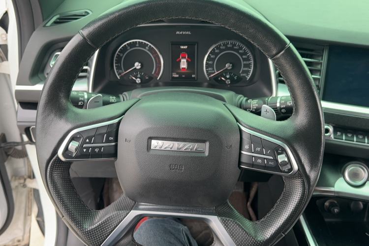 Used Haval H6 2017 Red Label 2.0T Automatic Two-Wheel Drive ZhiShang Model
