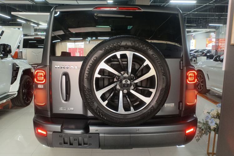 Used Haval H9 2024 2.0T Gasoline All-Wheel-Drive Extreme Edition