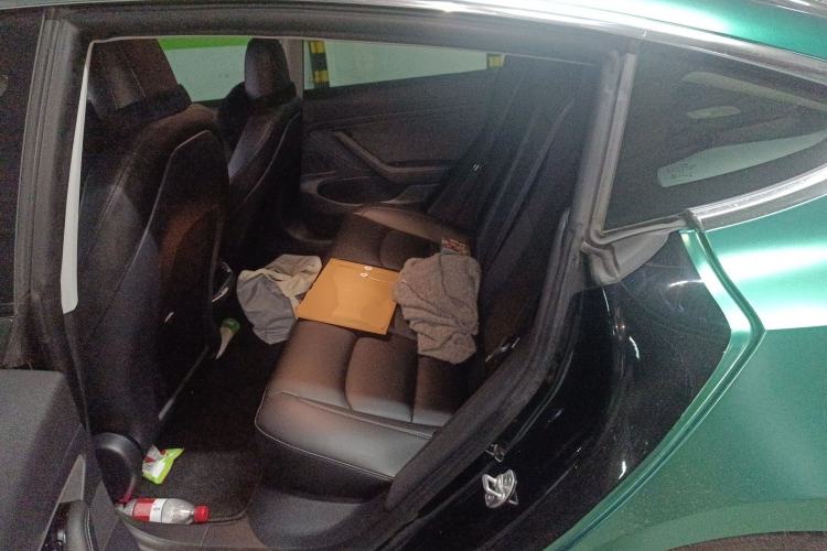 Used Tesla Model 3 2019 Standard Range Rear-Drive Upgraded Version Left Rear Seat