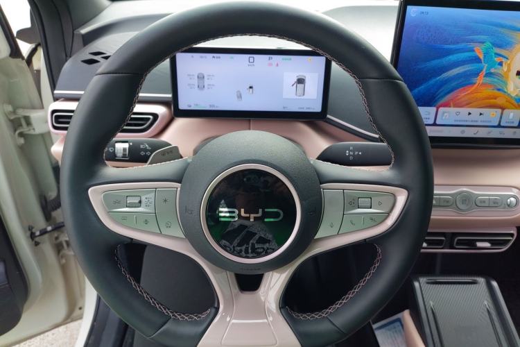 Used BYD Seagull 2025 Smart Drive Version 305 km Freedom Edition