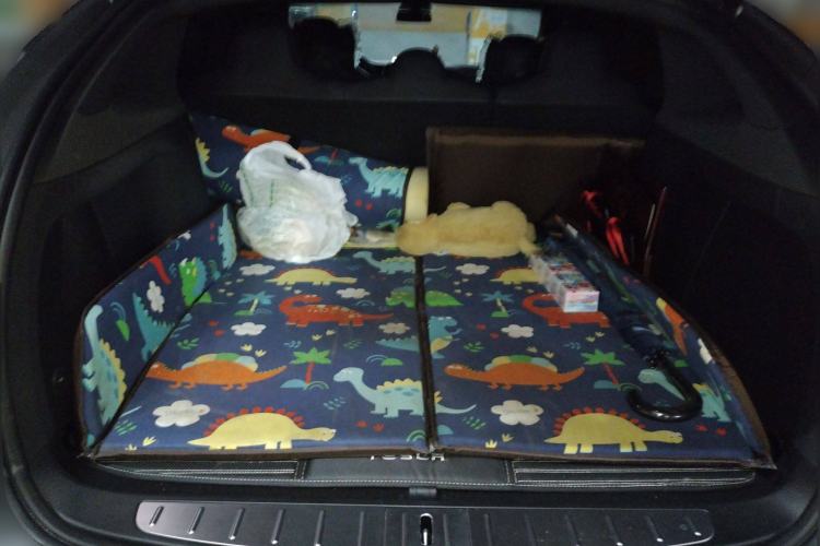 Used Tesla Model X 2016 X 75D Trunk