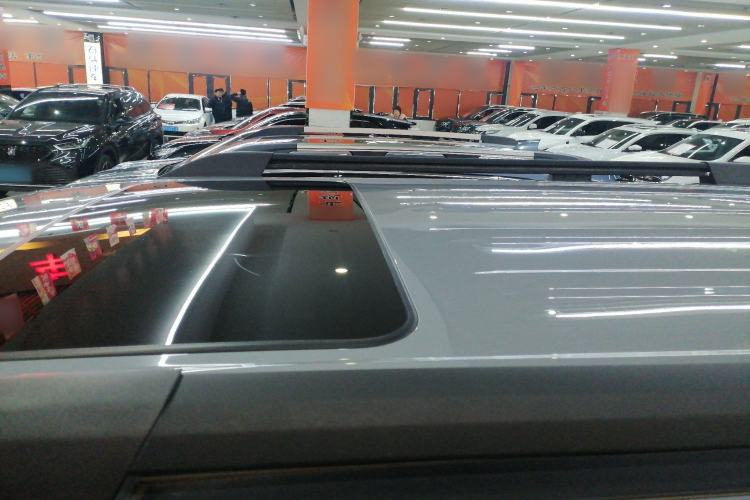 Used Tank 300 2021 Off-Road Edition 2.0T Conqueror