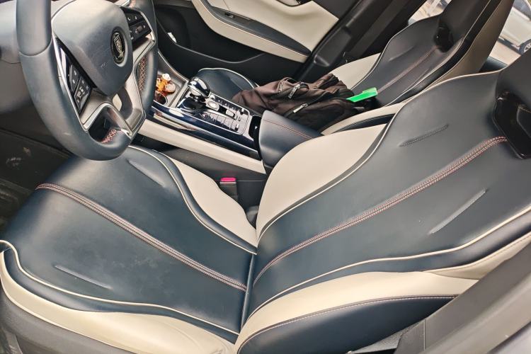 Used BYD Qin PLUS 2021 DM-i 120KM Flagship Model Left Front Seat