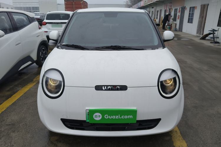 Used Qiyuan Lumin 2023 205km Xiangqin Version