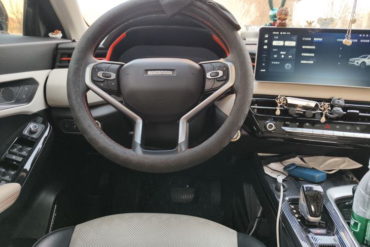 Used Haval LHERY 2021 High-Performance Version 1.5T Golden Rabbit