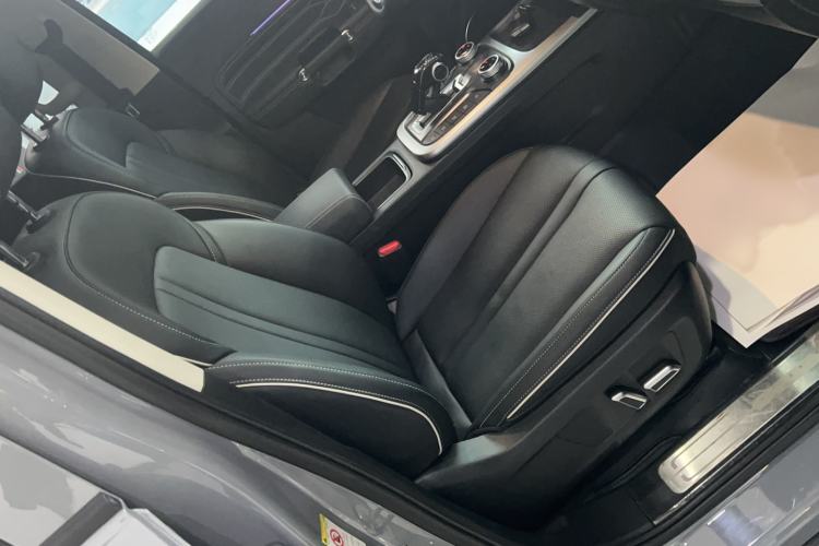 Used Tank 300 2024 2.0T Conqueror