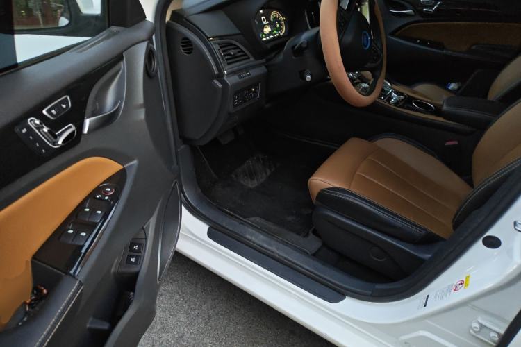 Used BYD Qin New Energy 2018 Qin EV450 Smart Connect Prestige Model Driver Seat