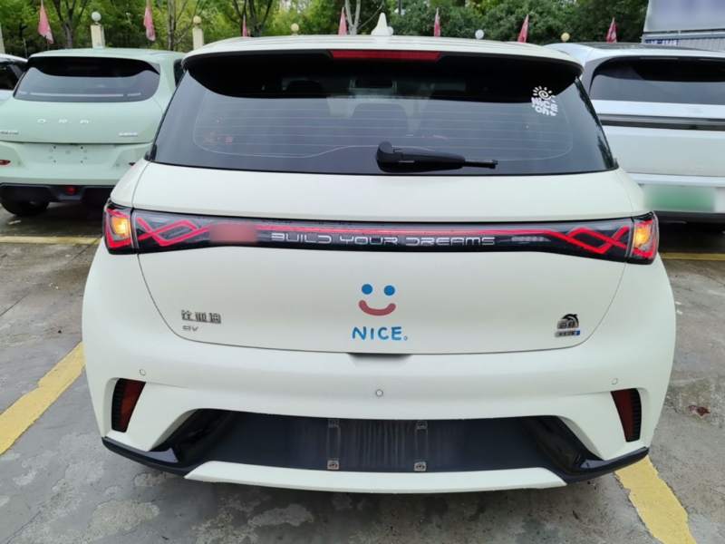 Used BYD Dolphin 2023 420 km Fashion Edition — 5
