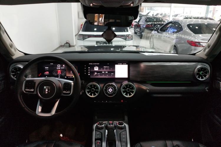 Used Tank 300 2024 2.0T Conqueror