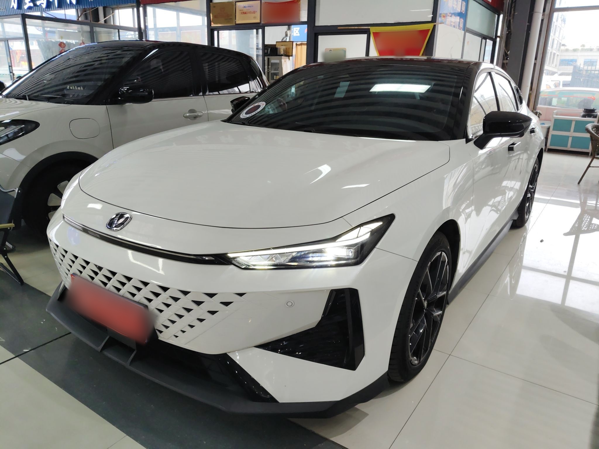 Parte inferior delantera