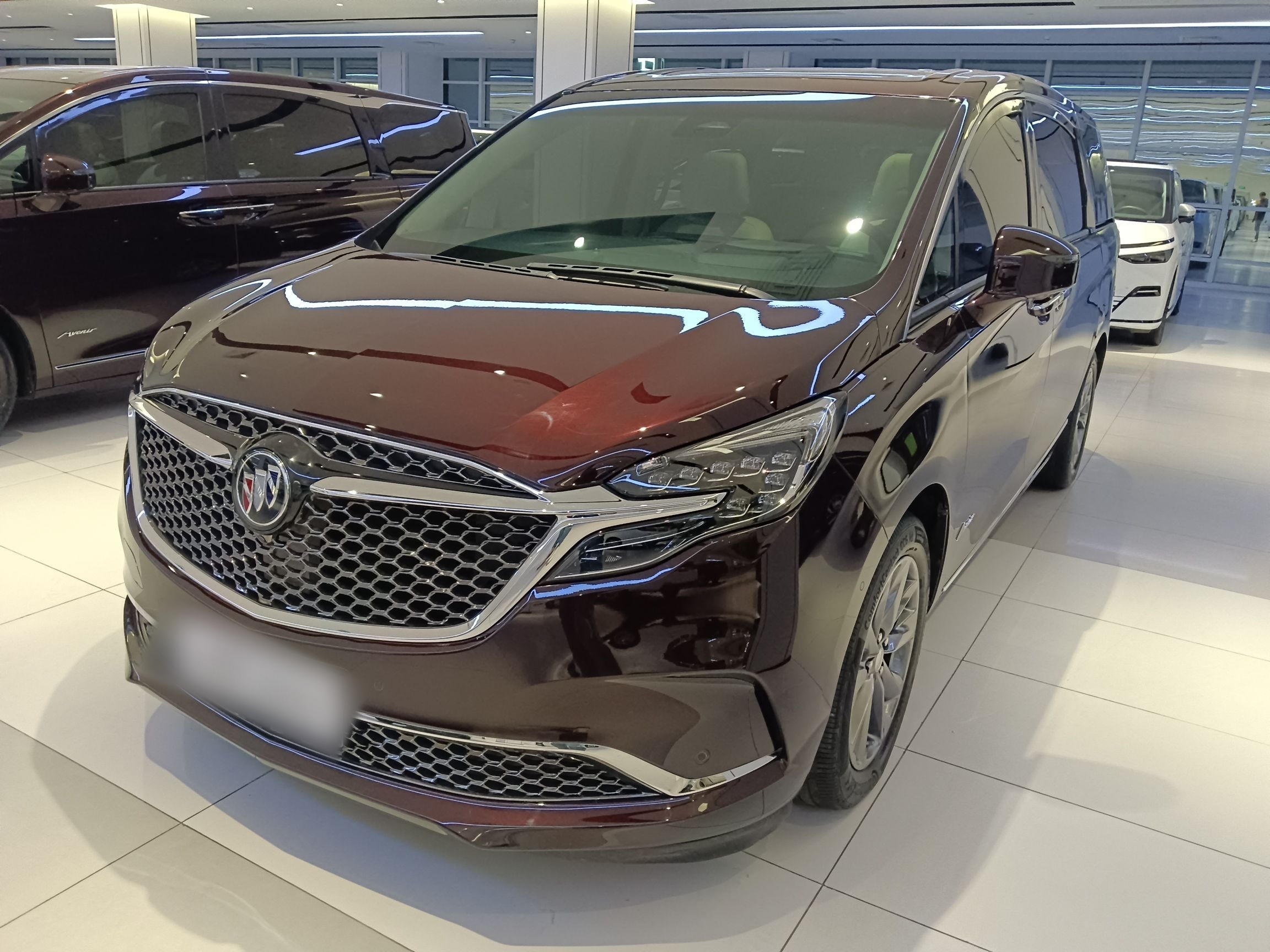 Parte inferior delantera