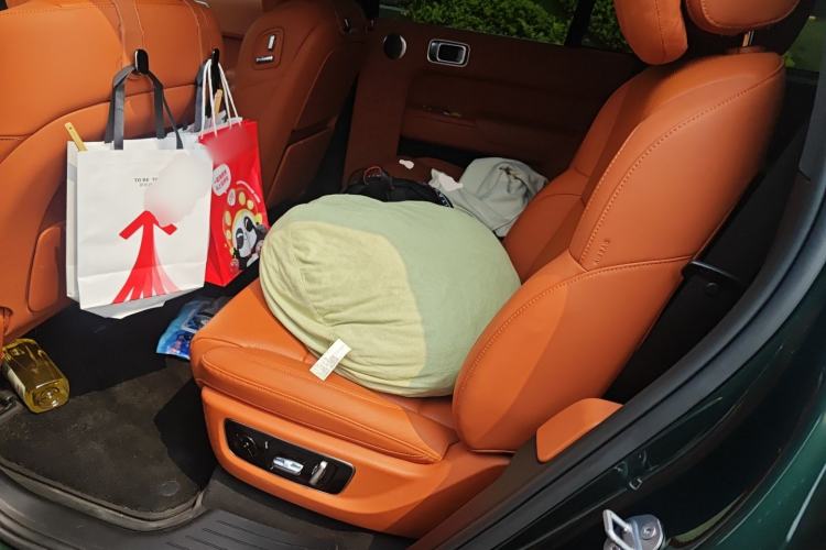 Used Li Auto L9 2024 Ultra Model Left Rear Seat