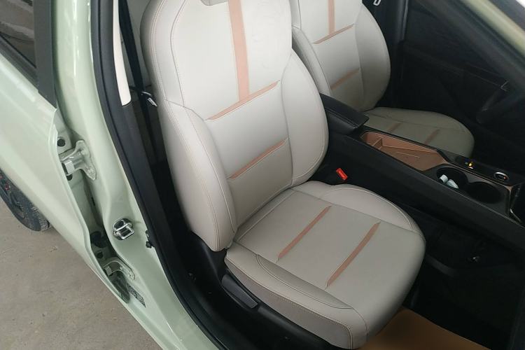 Used SOL E10X 2022 Flower Fairy Style Baby's Breath
