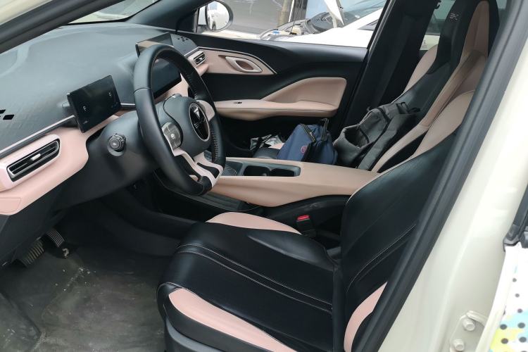 Used BYD Seagull 2023 Flying Edition Left Front Seat