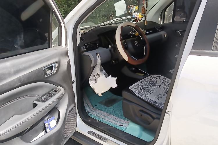 Used Leapmotor T03 2020 400 Luxury Edition