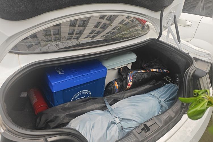 Used Ford Mustang 2016 2.3T Performance Edition