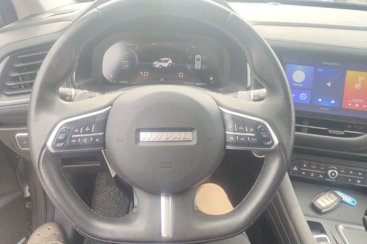 Used Haval F7 2020 2.0T Two-Wheel Drive i-Van