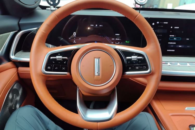 Used Wey Lanshan 2023 Two-Wheel Drive Long-Range Version
