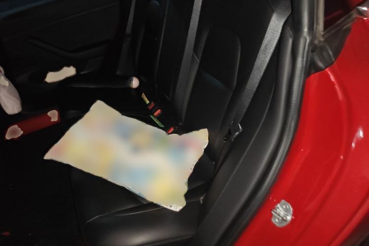 Used Tesla Model 3 2019 Standard Range Rear-Drive Upgraded Version
