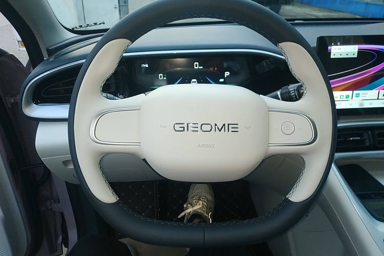 Used Geely Galaxy Geome 2025 410 km Free Version
