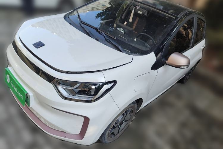 Used SOL E10X 2022 Flower Fairy Style Baby's Breath