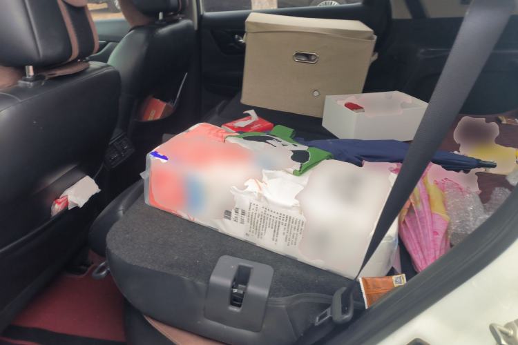 Used Nissan X-Trail 2020 2.5L XL ITS CVT 4WD Deluxe Navigation Edition Left Rear Seat