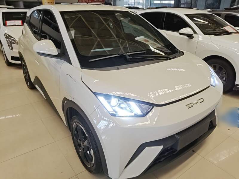 Used BYD Seagull 2023 Free Edition — 3