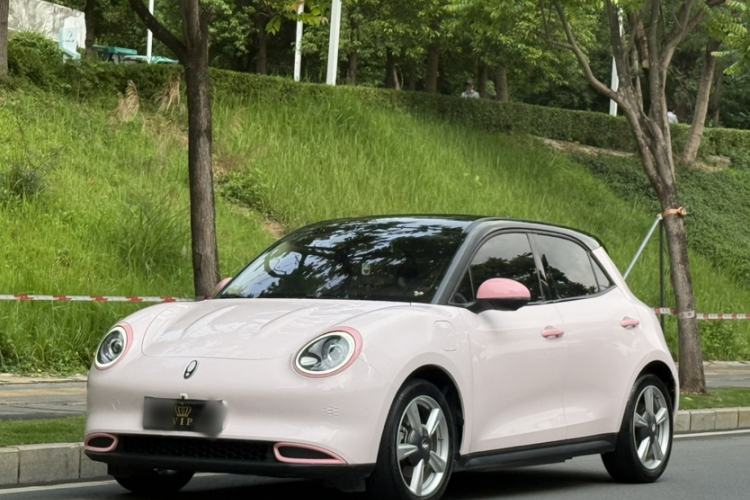 Used ORA Good Cat 2022 400km Standard Range Premium Version Lithium Iron Phosphate