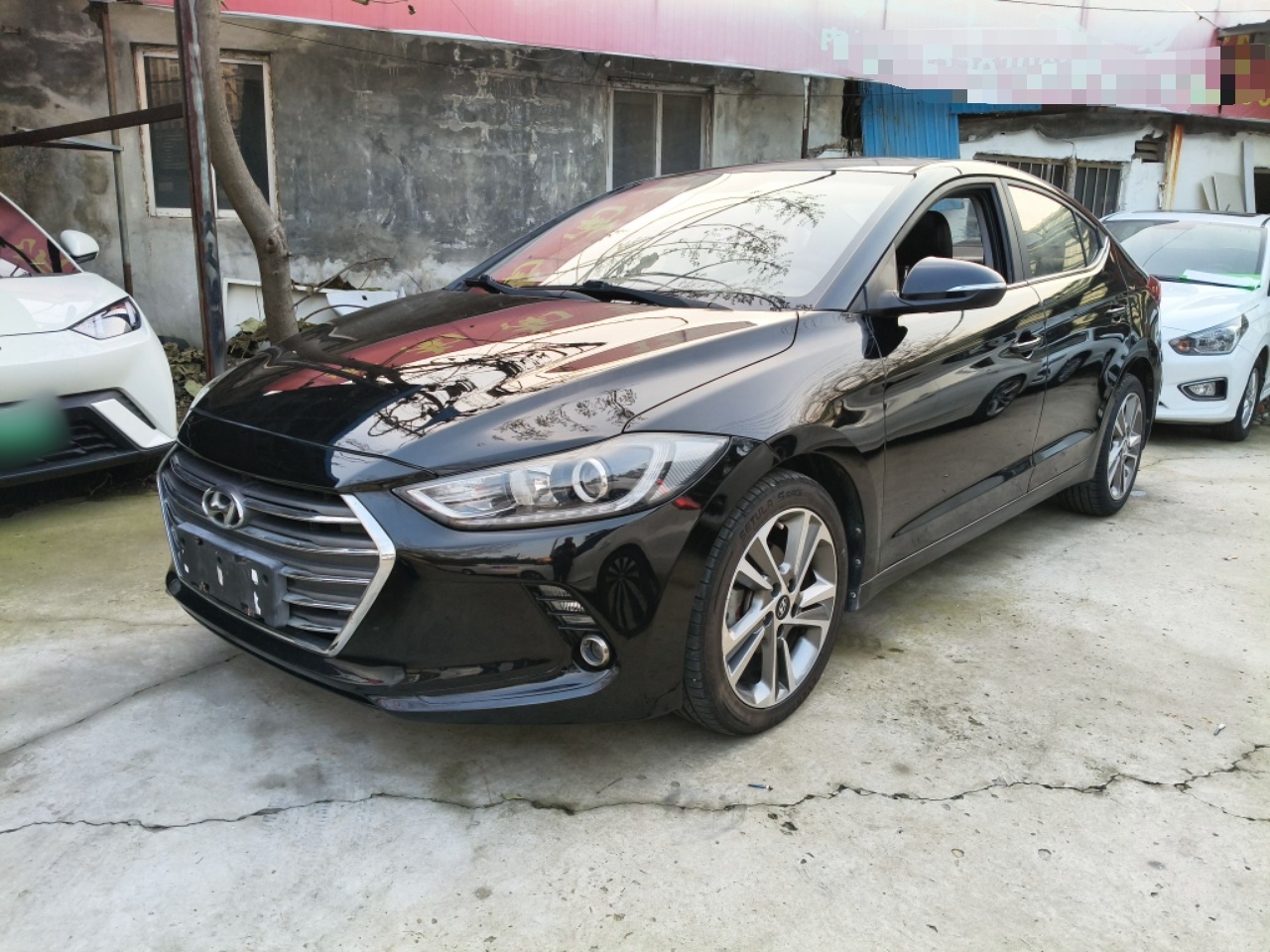 تحت مقدمة السيارة