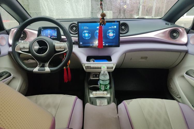 Used BYD Dolphin 2023 420 km Fashion Edition Center Console