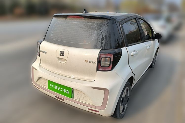 Used SOL E10X 2022 Flower Fairy Design Four-Leaf Clover