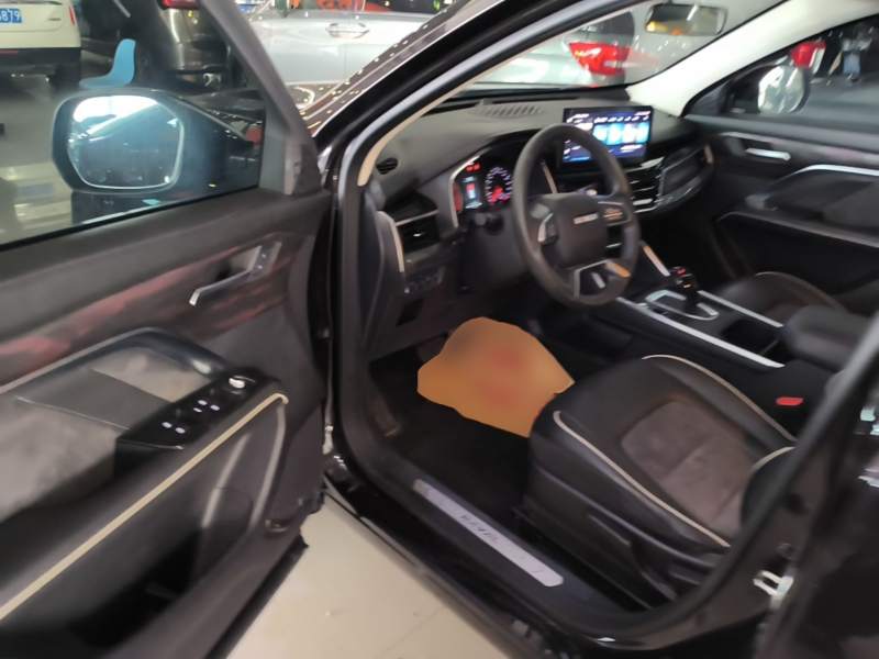 Used Haval H6 2021 National Trend Edition 1.5T Automatic Urban Version — 15