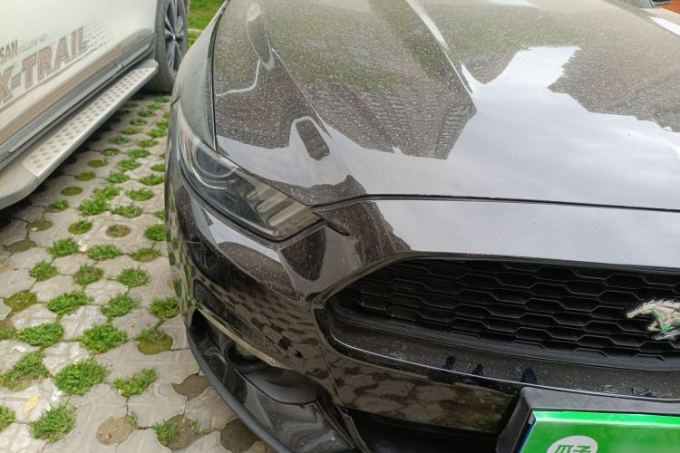 Used Ford Mustang 2015 2.3T Performance Edition
