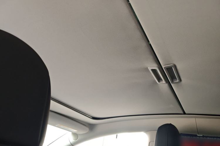 Used Tesla Model Y 2021 Standard Range Rear-Wheel Drive Version Headliner