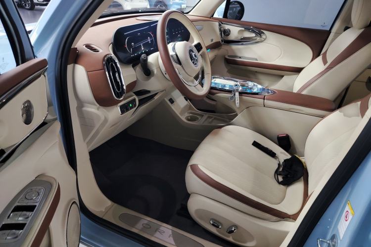 Used ORA Ballet Cat 2023 401 km Luxury Version
