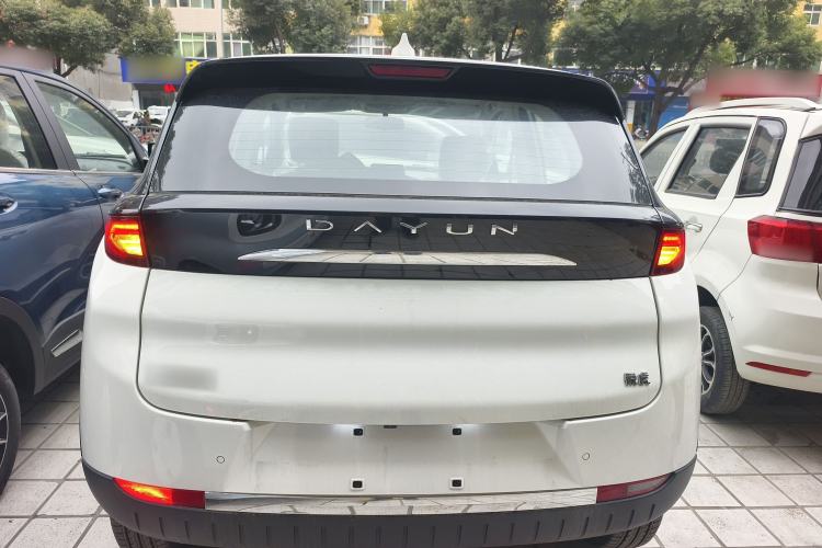 Used Dayun Yuehu 2023 300 Standard Edition