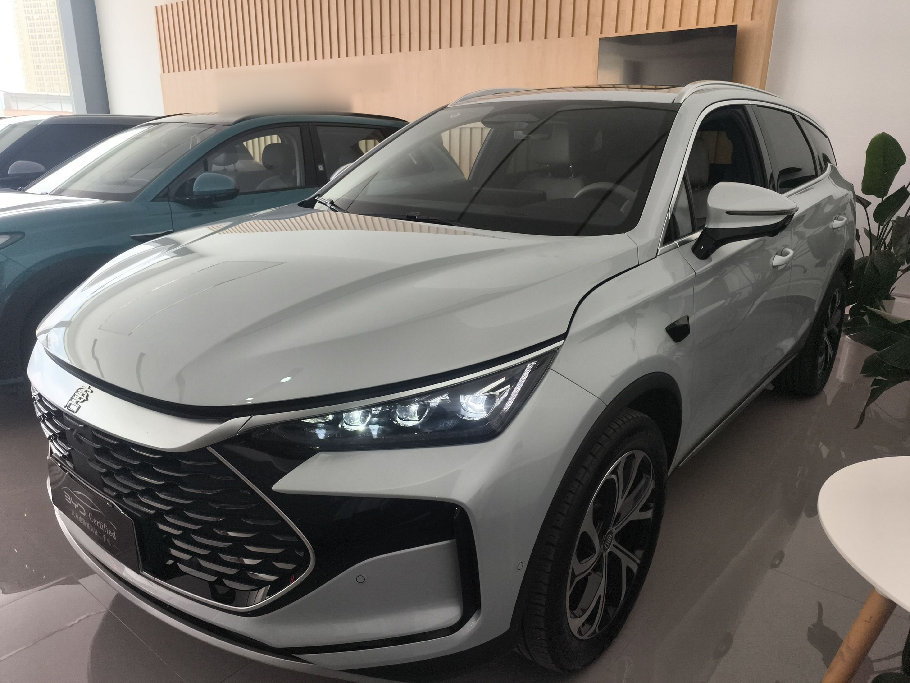 Parte inferior delantera