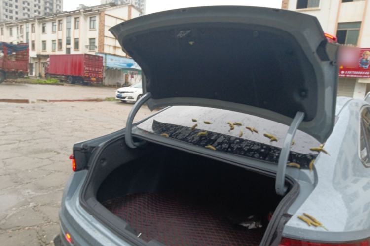 Used Geely Auto Preface 2023 2.0TD "Only This Verdant Green" Edition Trunk