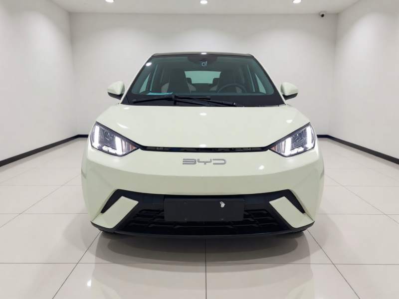 Used BYD Seagull 2023 Flying Edition — 2