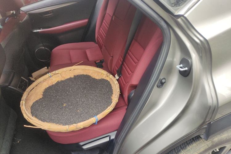 Used Lexus NX 2018 200 Front-Wheel-Drive X-Trail Version China V Standard