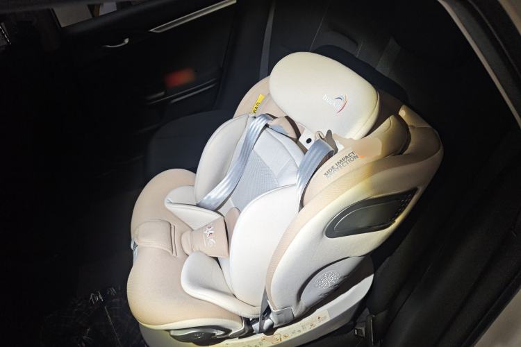 Used Honda Civic 2016 220TURBO CVT Luxury Edition Left Rear Seat