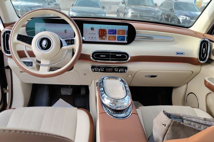 Used ORA Ballet Cat 2023 401 km Luxury Version
